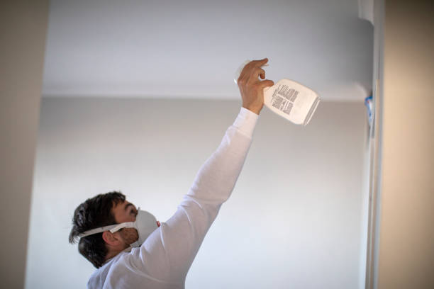 Best Commercial Mold Removal  in Raymondville, TX
