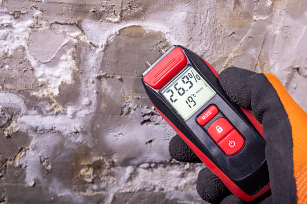 Mold Testing and Removal in Raymondville, TX