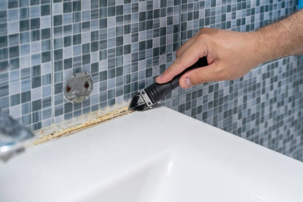 Best Residential Mold Removal  in Raymondville, TX